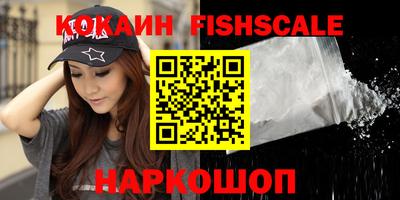 индика Гай
