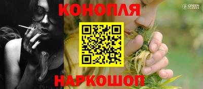 шишки Гатчина