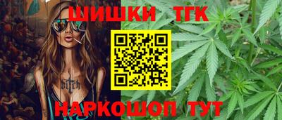 индика Гай