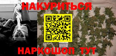 шишки Гатчина