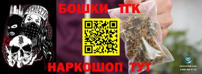 индика Гай