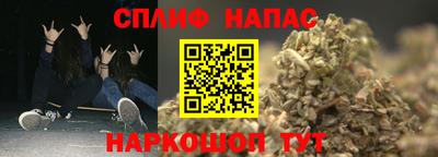 шишки Гатчина