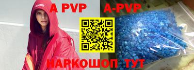 индика Гай