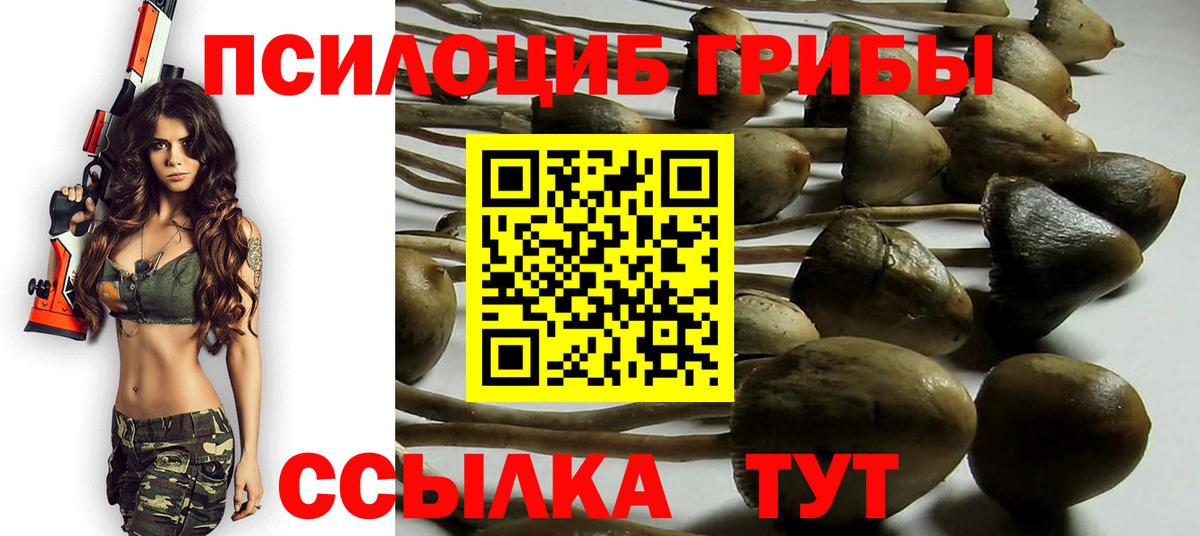 Псилоцибиновые грибы Magic Shrooms Нягань