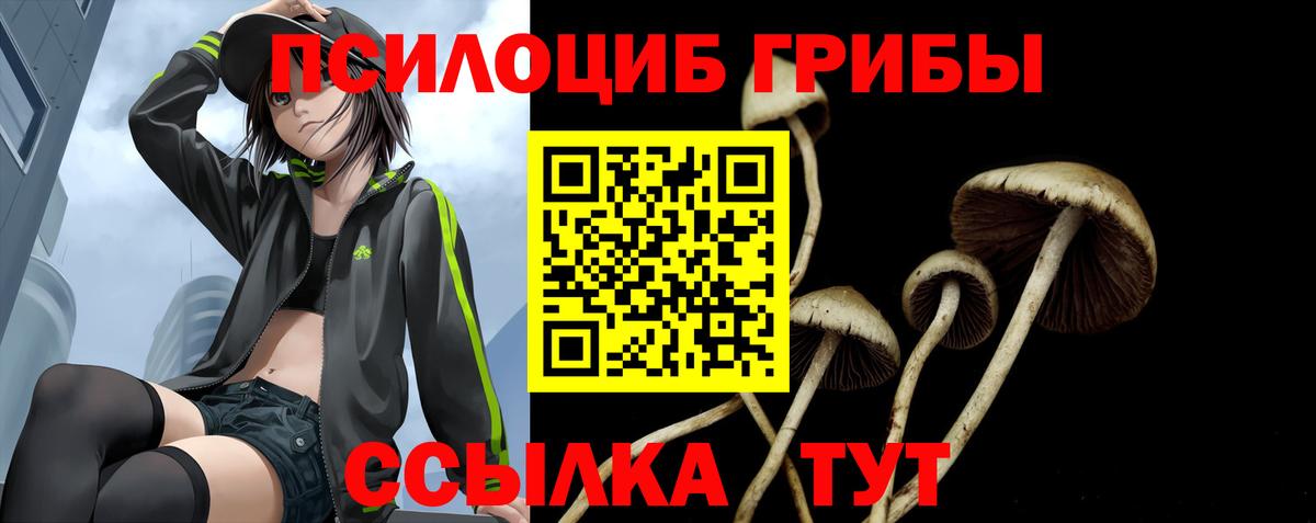 Галлюциногенные грибы MAGIC MUSHROOMS  Вход с VPN  Нягань 